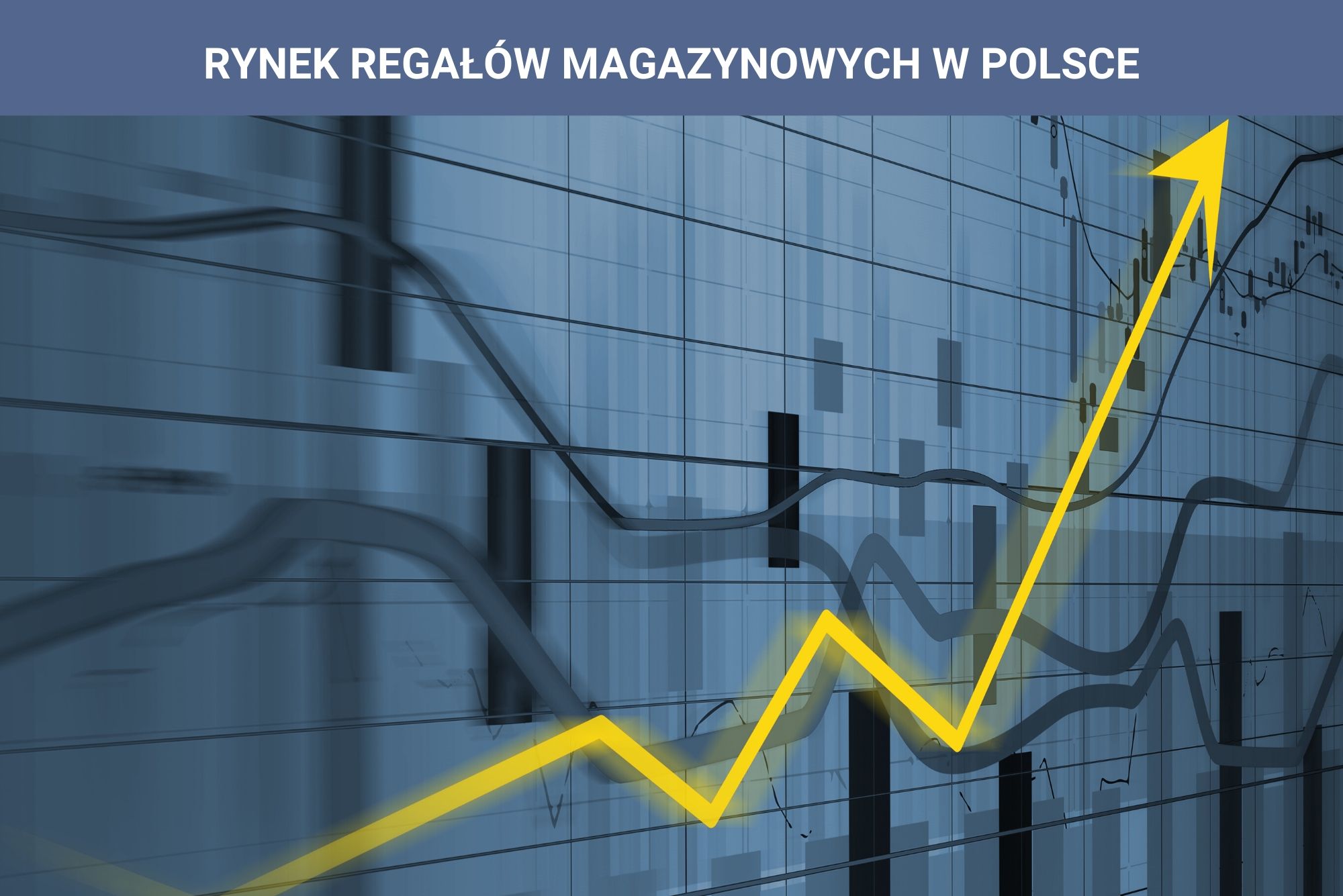 Regały magazynowe rozwój rynku w Polsce
